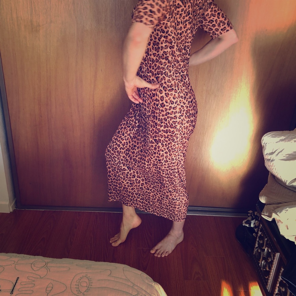 Zara Leopard dress new with tags